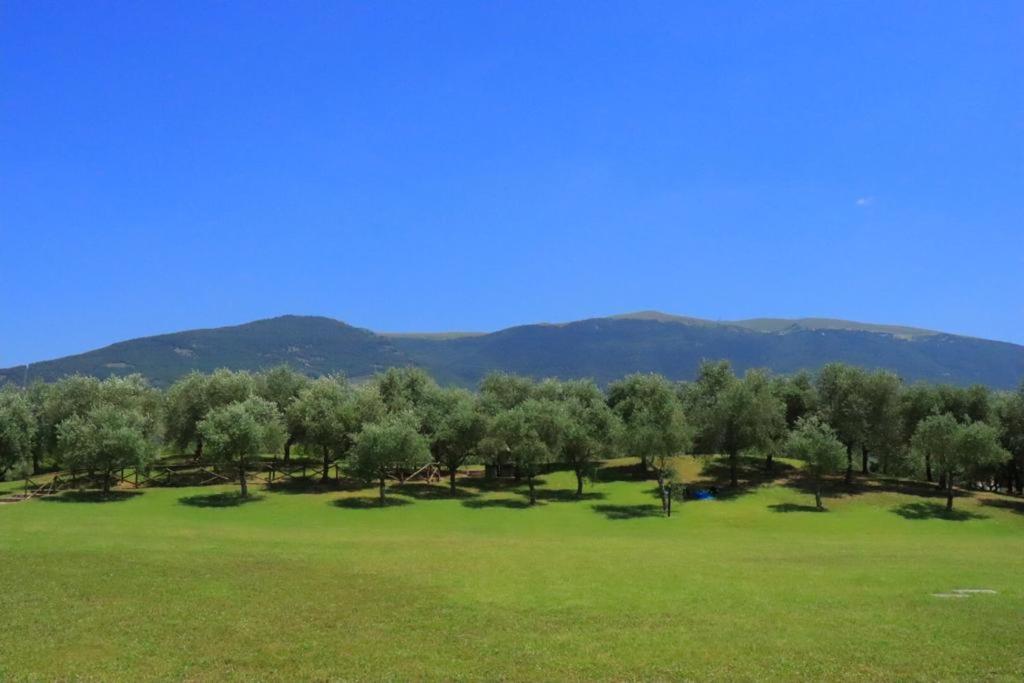 Agriturismo Il Casale Di Monica Rivotorto Exterior foto